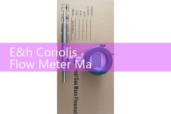 positive displacement water meter